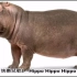 Hippo+Hippo+Hippo+-+陈奕-粤语儿歌