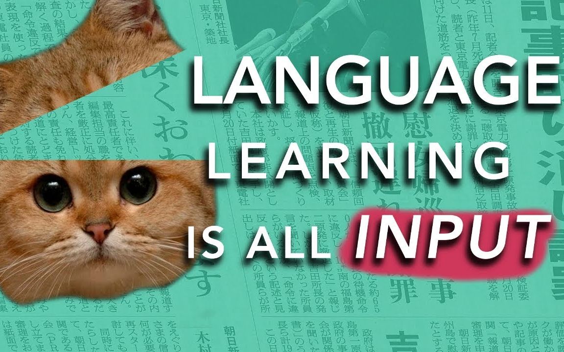 如何学习语言:输入假说(为什么大多数方法没有效果)英文字幕 How to Learn a Language INPUT哔哩哔哩bilibili