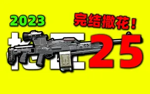 Descargar video: 【枪匠25：PKP机枪】100%能交！最新教学！【逃离塔科夫】