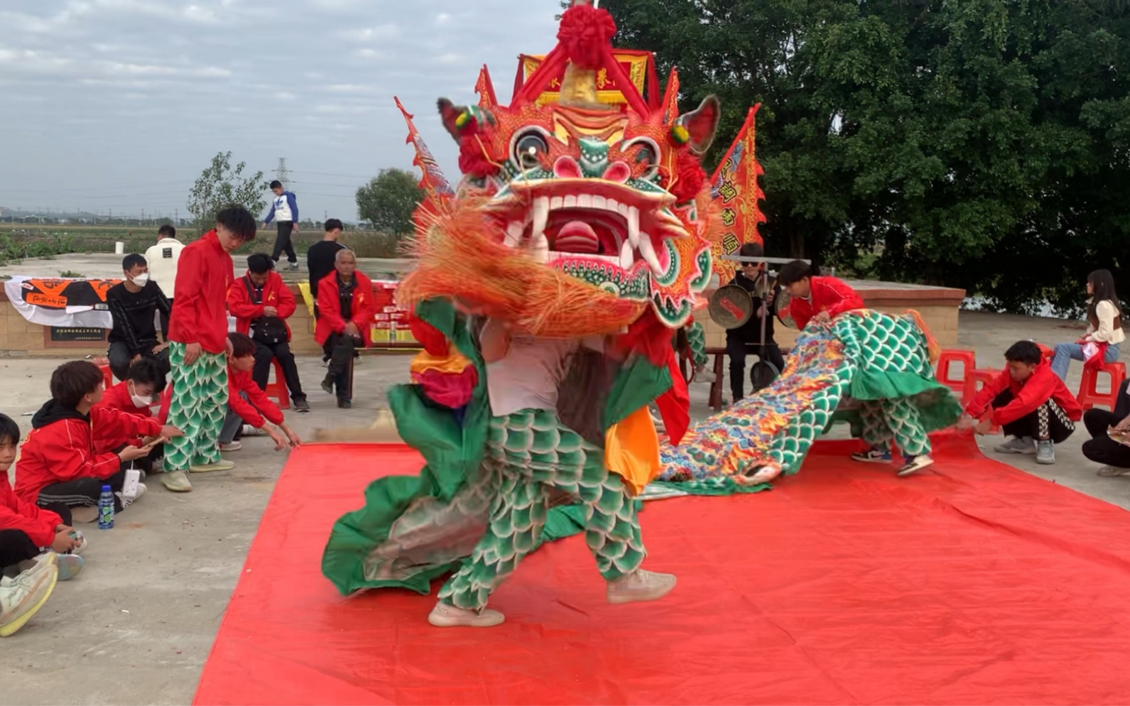 海丰县可塘虎狮图片