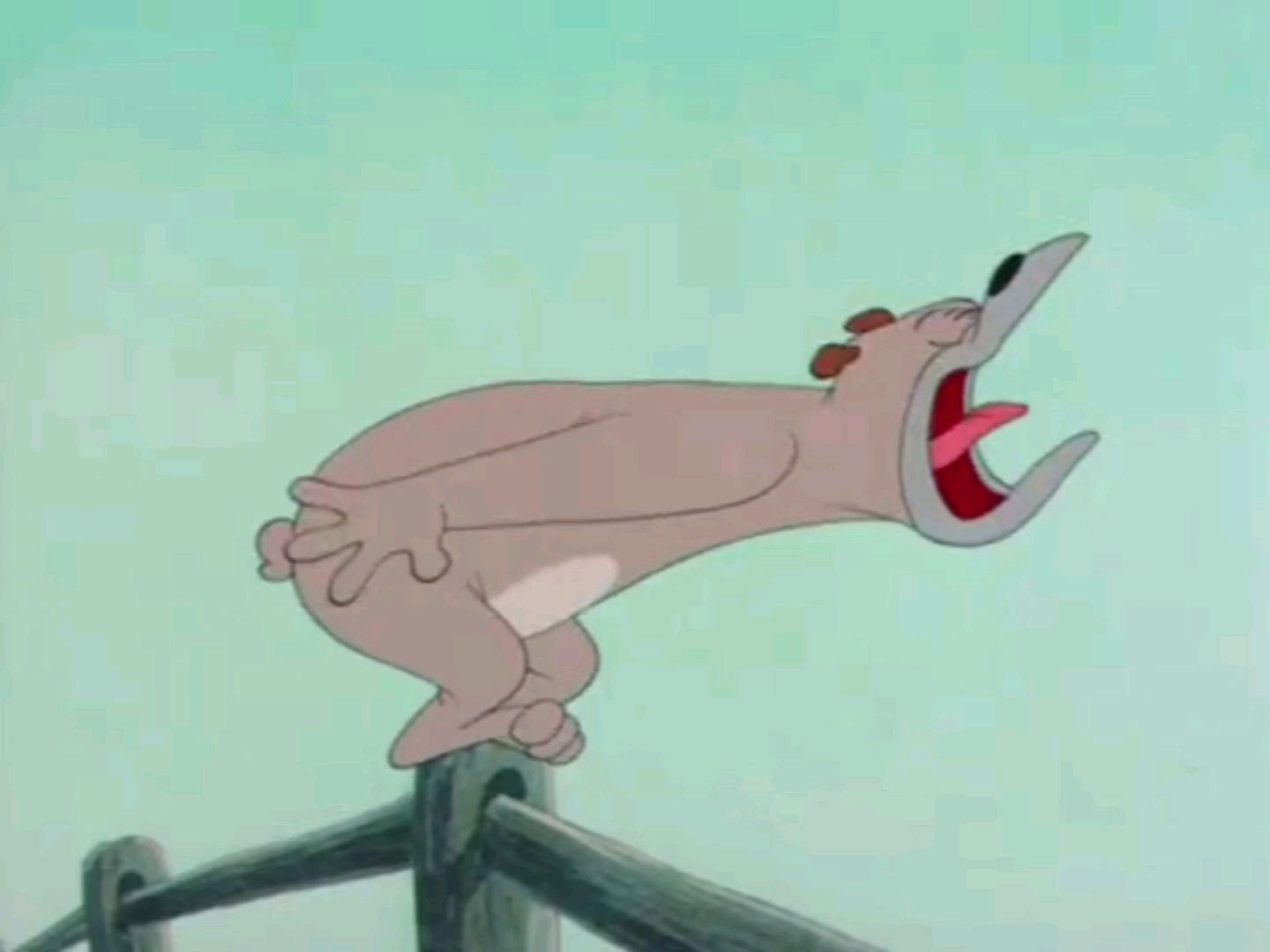 杜皮狗宝狗打鸣复原声版(猫和老鼠片尾曲:1951年2月10日)