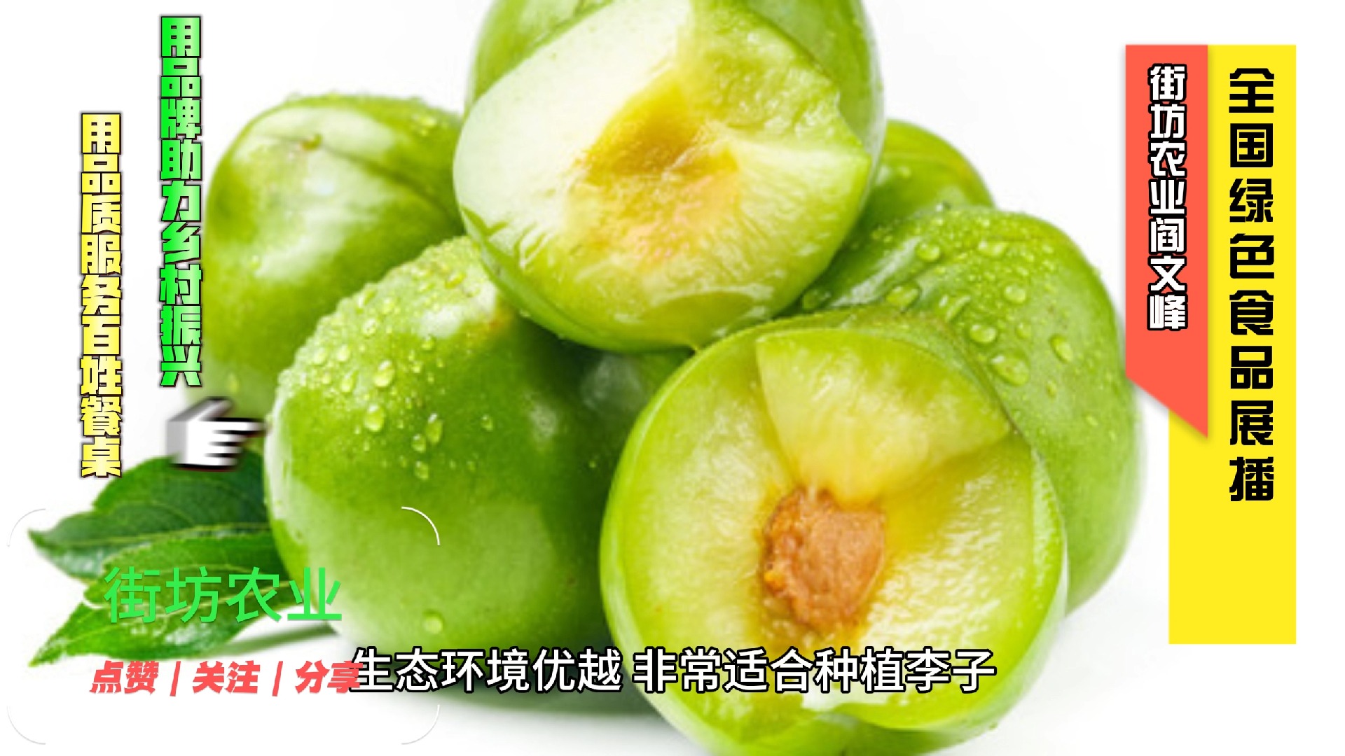 广安市初山农谷种养专业合作社的李子是绿色食品