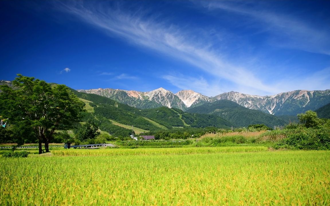 长野县白马村图片