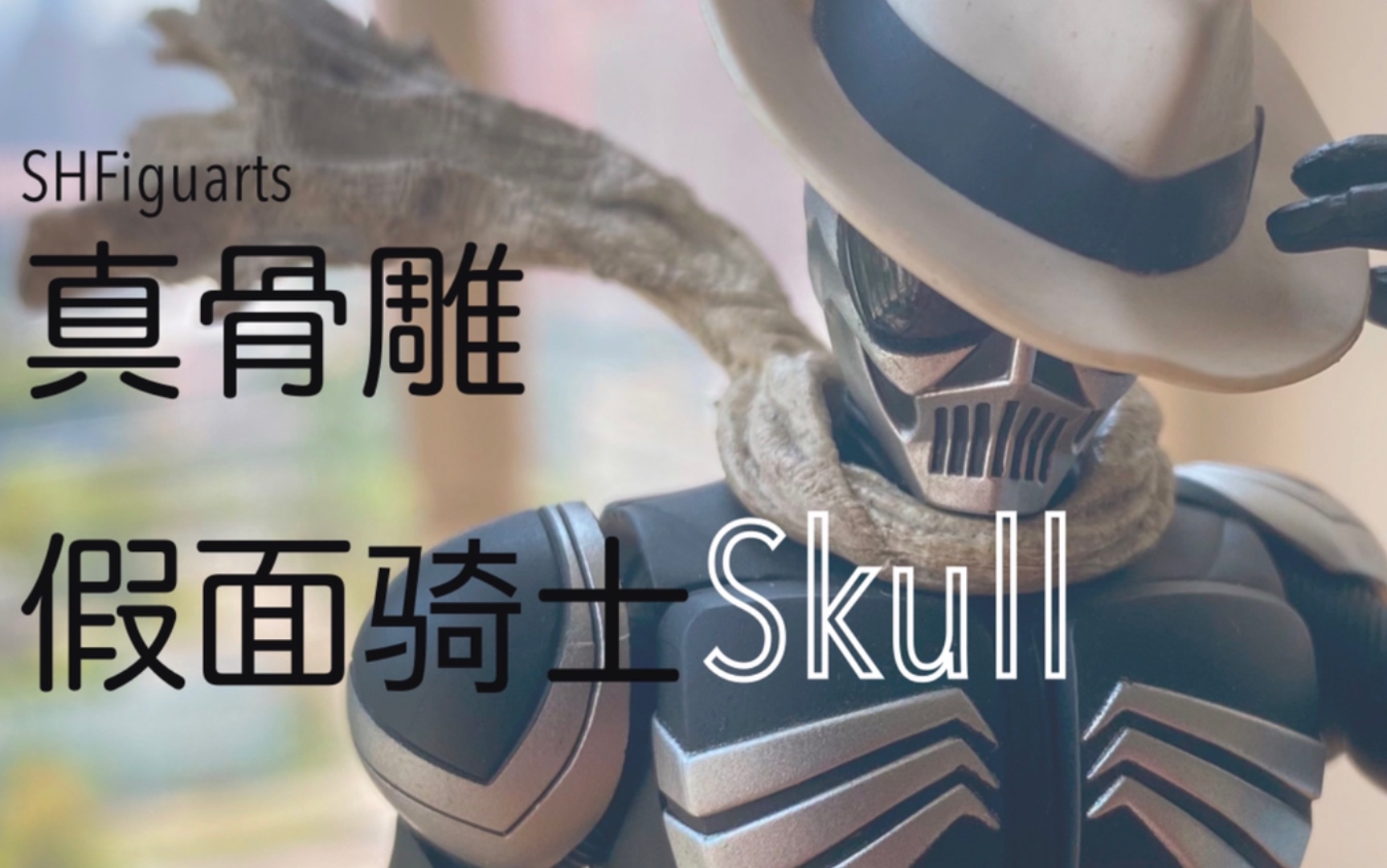 「胶声胶气」多年前的良心,师傅的苦苦教诲----真骨雕假面骑士skull