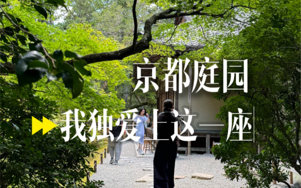 京都禅意庭院|我独爱这一座西芳寺哔哩哔哩bilibili