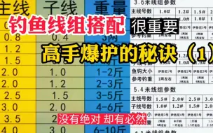 Download Video: 钓鱼线组搭配应用精髓，高手爆护的秘密（1）没有绝对，却有必然