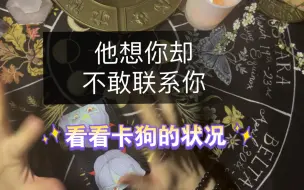 Tải video: 他想你却不敢联系你