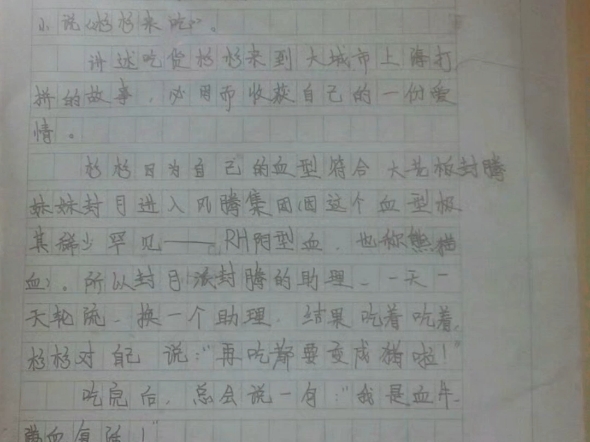 【赵丽颖】翻到之前写的作文