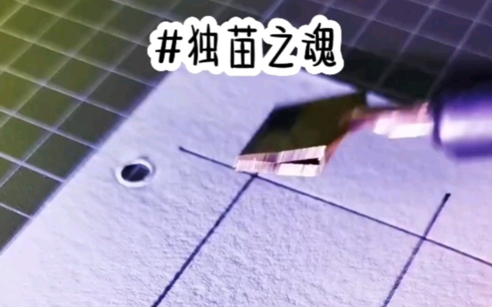 名《独苗之魂》哔哩哔哩bilibili