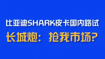 比亚迪全新SHARK皮卡国内路试！要抢长城炮市场？