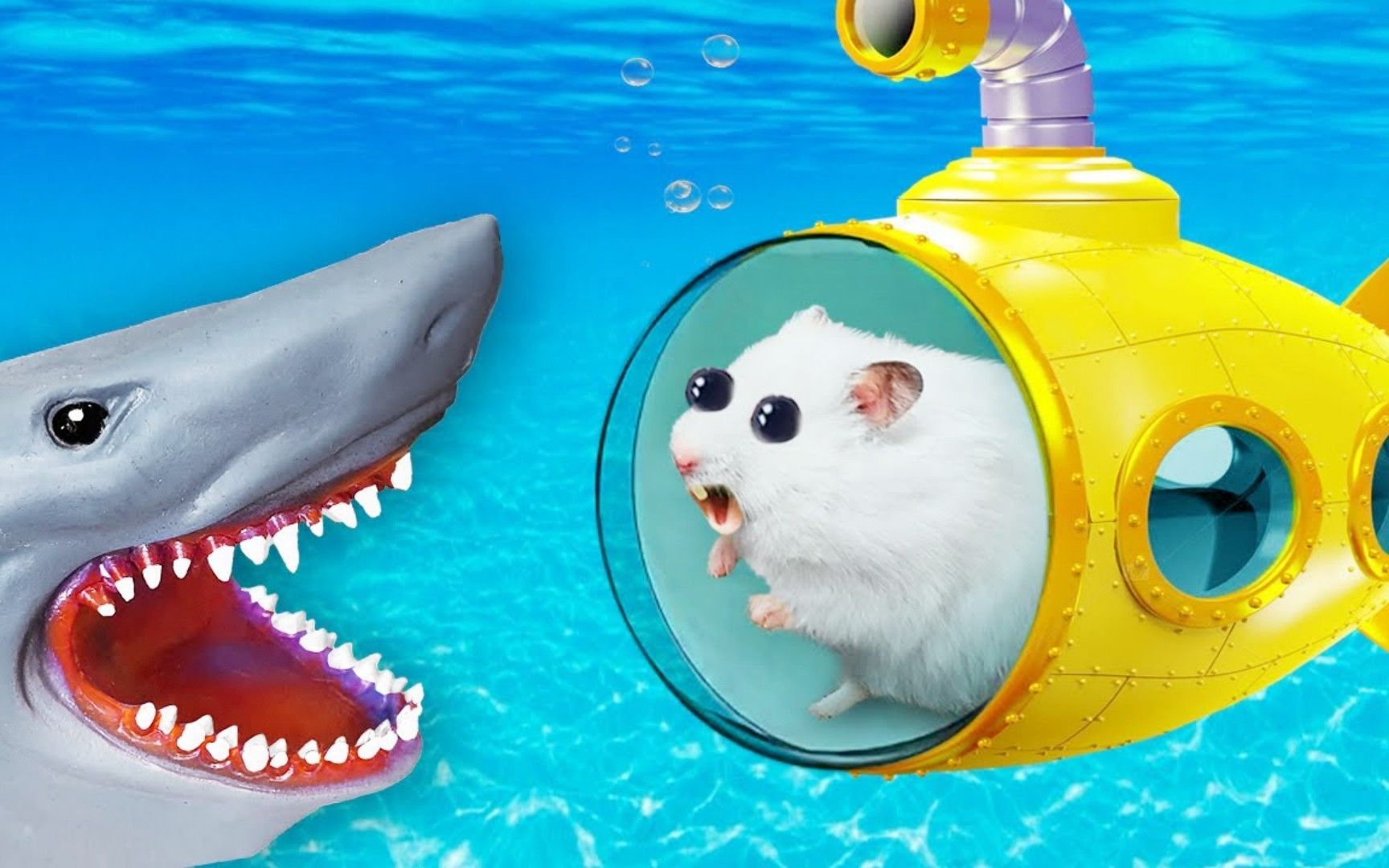 小仓鼠大冒险:挑战最惊险的海底迷宫,仓鼠能驾驶潜水艇脱离吗?