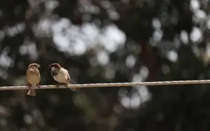 下载视频: 【Frankie】🧐TA对你的真正动机是什么呢？😩 TA在感情中💑的隐藏性格是怎样的？🤔深度剖析TA在感情中的优缺点！🥂🍬  (TIMELESS)