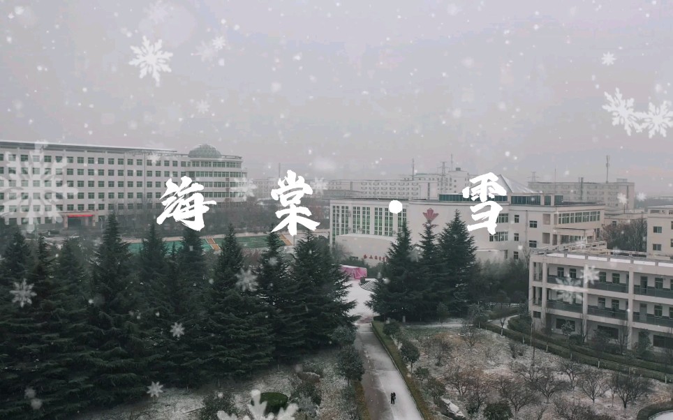 《海棠雪》西安迎来了久违的一场雪,也飘到了白鹿原上哔哩哔哩bilibili