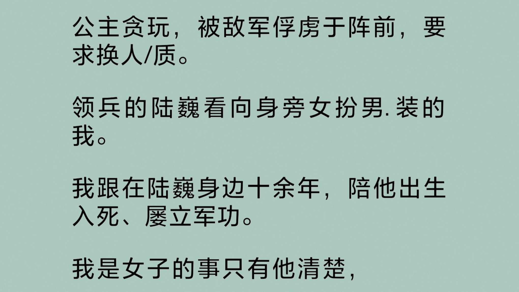 公主贪玩,被敌军俘虏于阵前,要求换人/质.领兵的陆巍看向身旁女扮男.装的我.我跟在他身边十余年,陪他出生入死、屡立军功.我是女子的事只有他清...