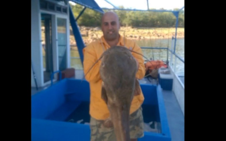 垂钓一条30公斤的长丝异鳃鲶