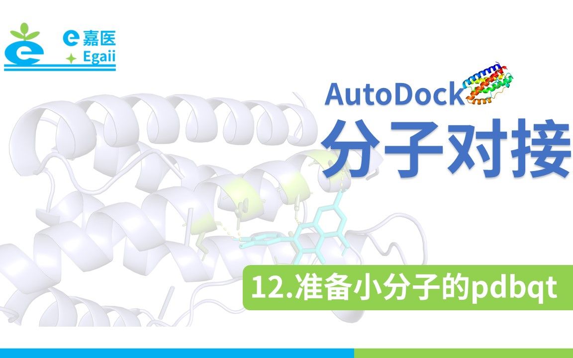 e嘉医 | AutoDock 分子对接:【12】准备小分子pdbqt文件哔哩哔哩bilibili