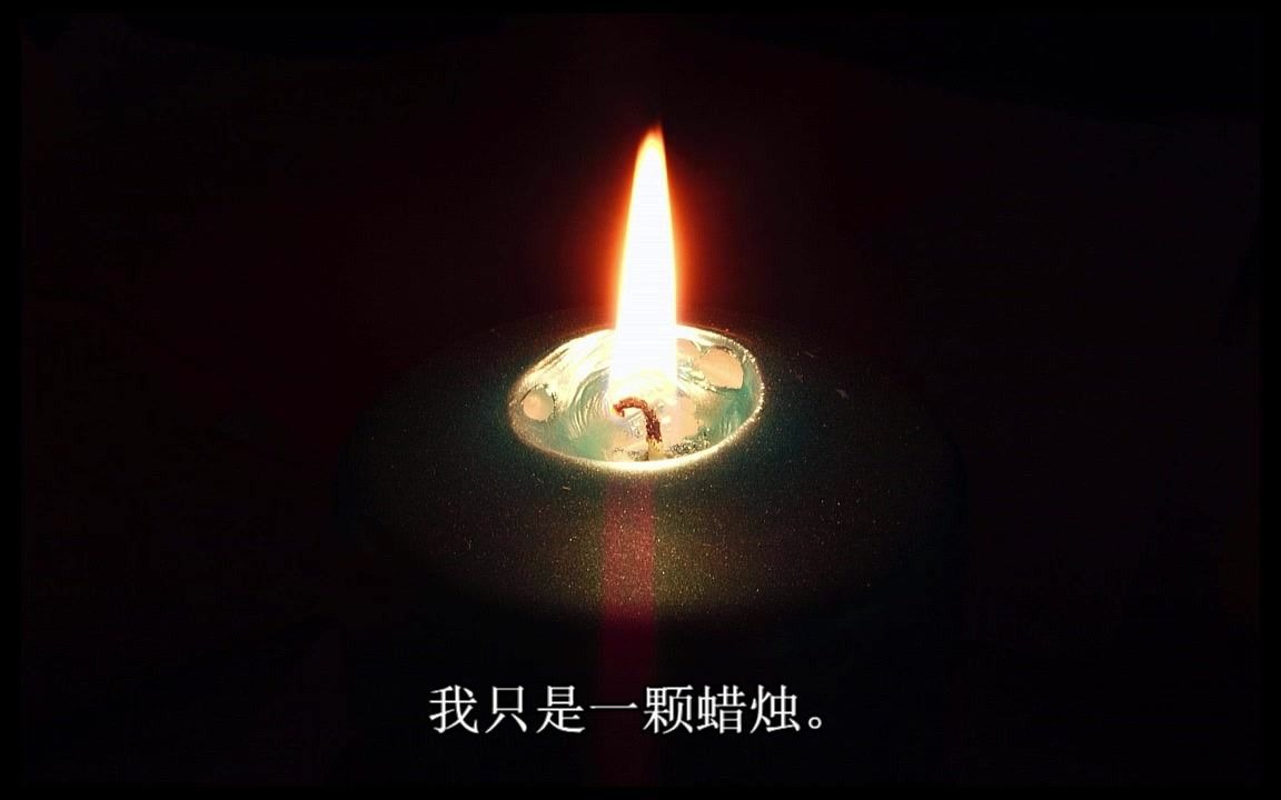 老师的意义哔哩哔哩bilibili