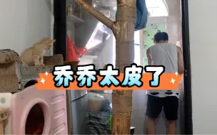 Скачать видео: 大古和他的猫｜乔乔太皮，一大早咬我耳朵