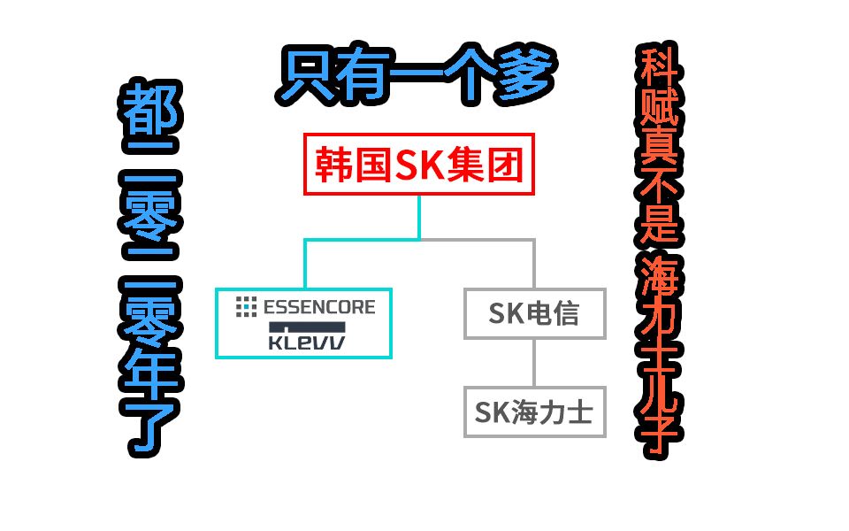 都2020年了!兄弟!科赋真不是海力士的亲儿子!他们只有一个爹!认爹现场!哔哩哔哩bilibili