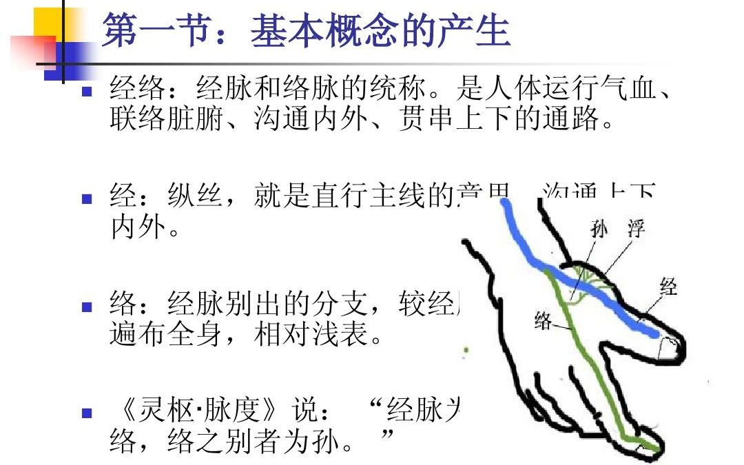 [图]【Z7】中医经脉知识 针灸知识 中医入门课程《12经脉学习》