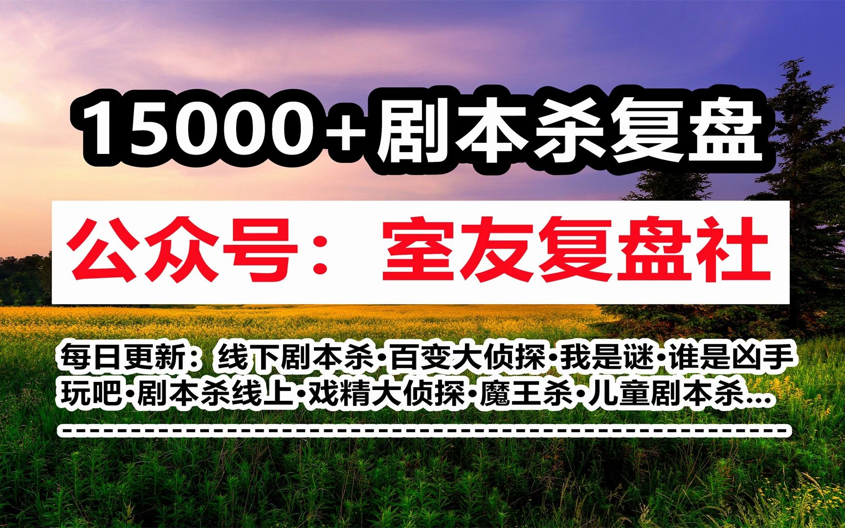 剧本杀《洛希极限》剧透/复盘/凶手/答案/真相【室友复盘社】