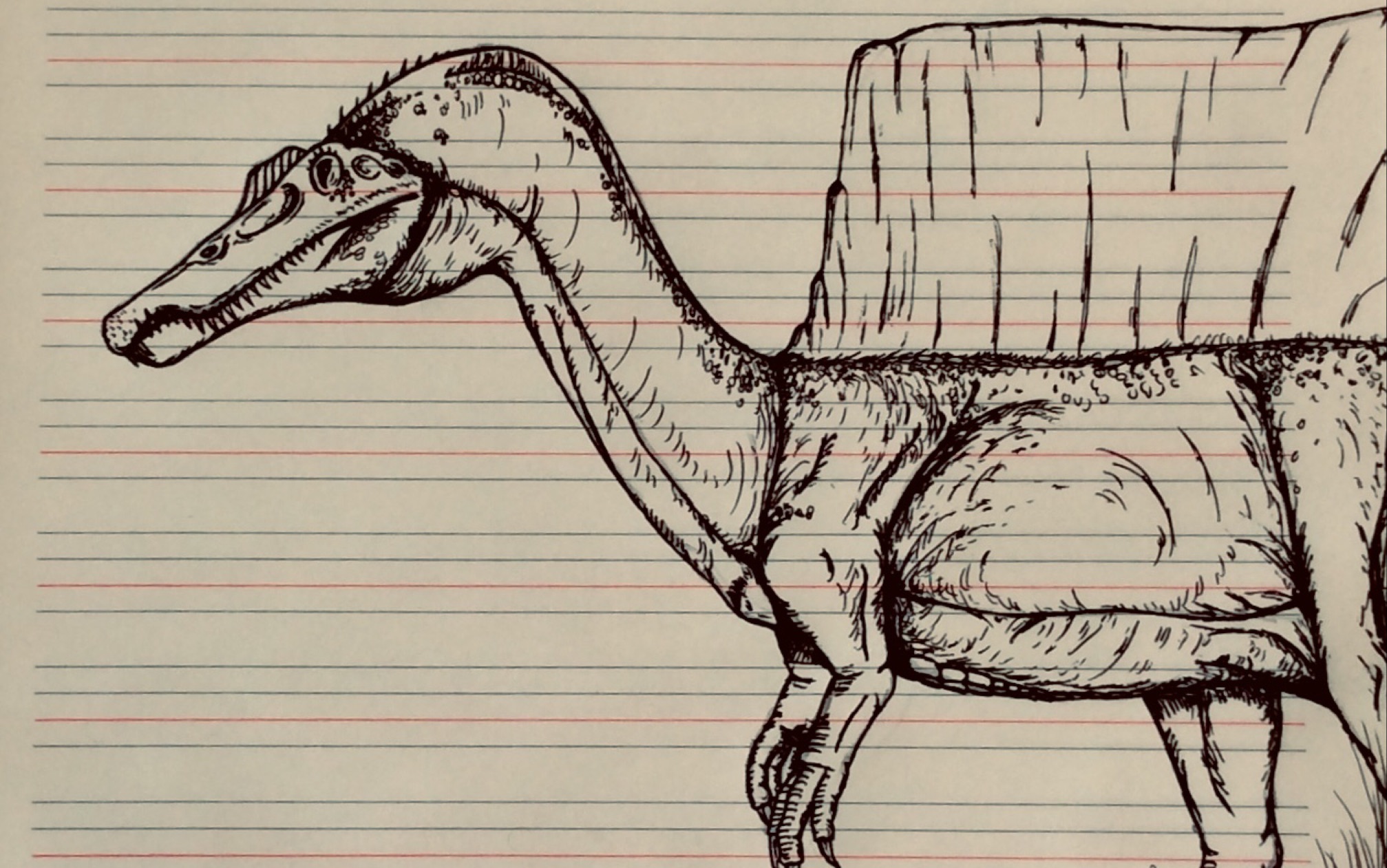 古生物绘画!一般还请见谅