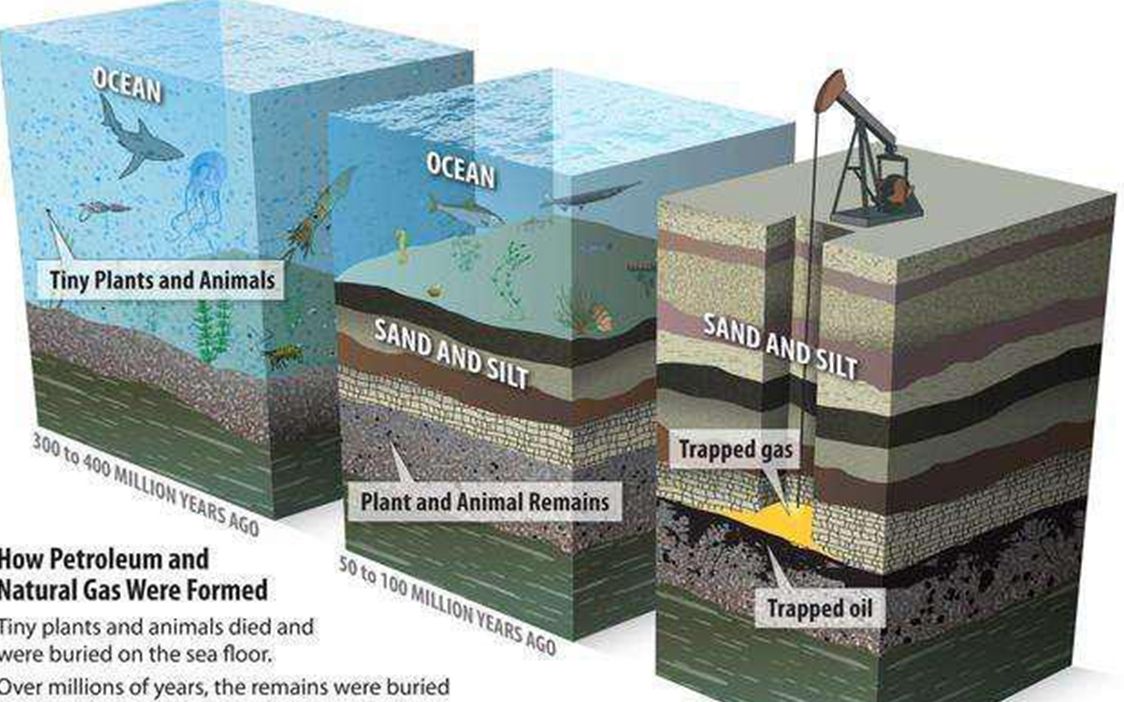 地球上的石油,到底是怎么形成的?