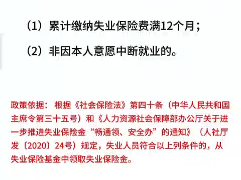 符合什么样的条件可以申领失业保险金哔哩哔哩bilibili