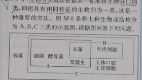 I2 Hdslb Com Bfs Archive f169acc4e57b I2 Hdslb Com Bfs Archive f169acc4e57b