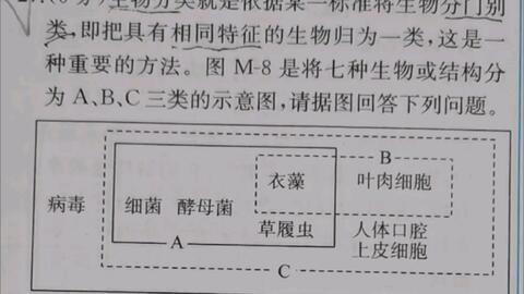 生物分类环节动物和软体动物脊椎动物 人教版初中生物八年级上册 哔哩哔哩
