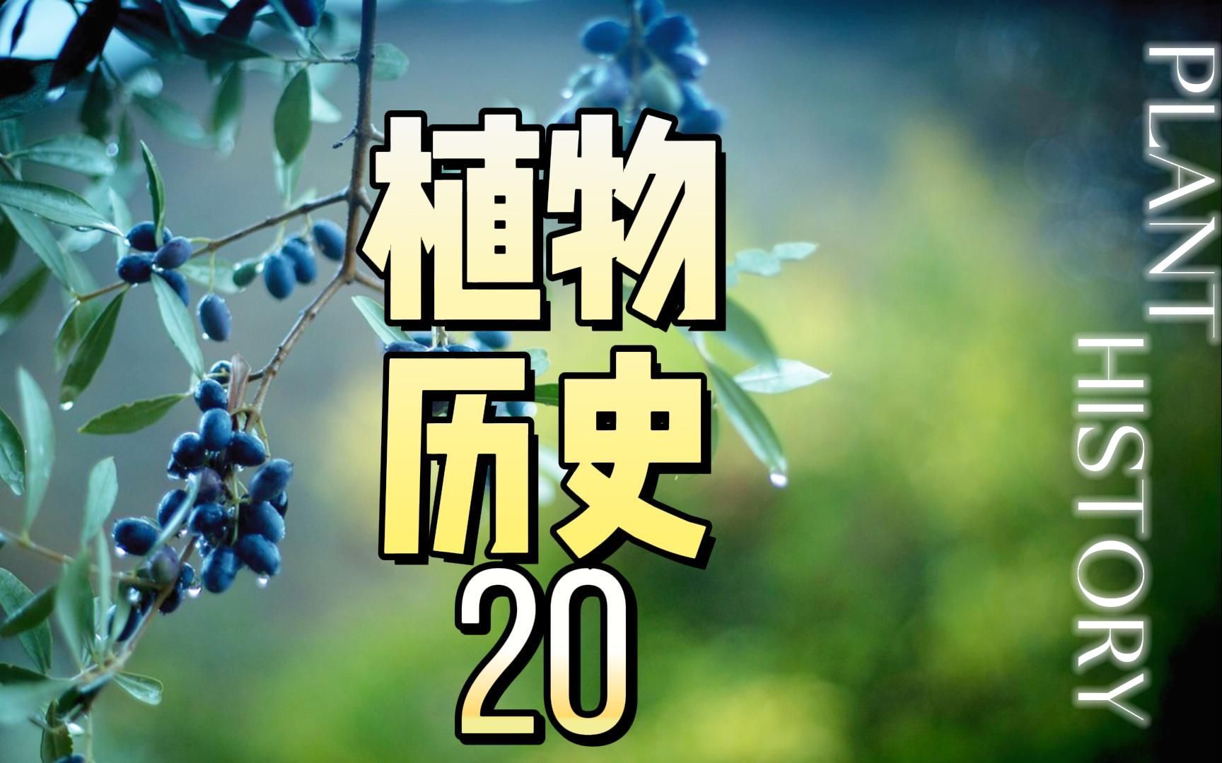 植物历史(二十):植物与人类—— 油料植物哔哩哔哩bilibili