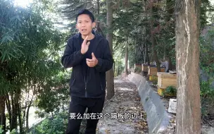 Descargar video: 二三脾蜜蜂，刚刚加了新脾，第二天蜂群就开始造王台，准备分蜂，是什么原因呢？