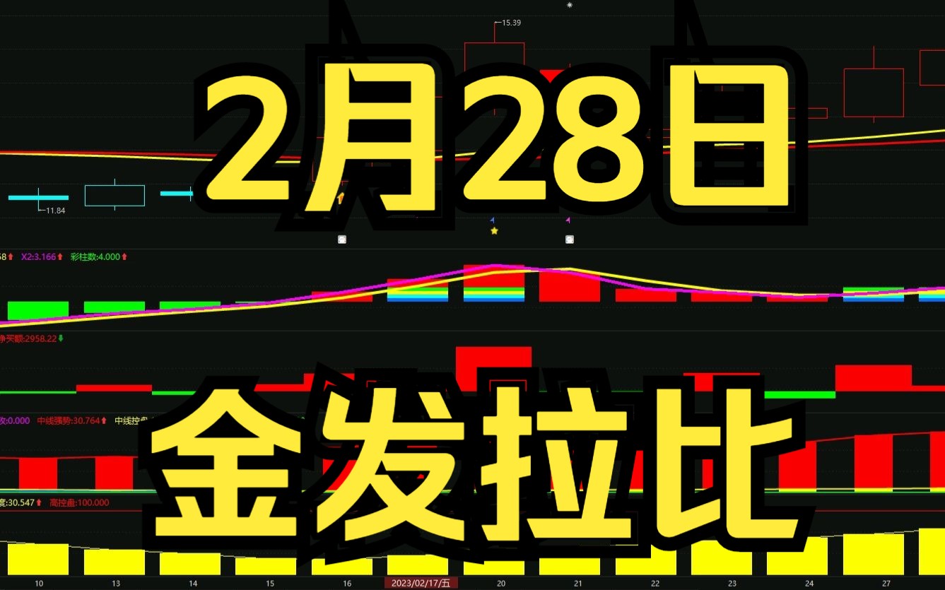 2.28金发拉比:如何判断低吸高抛?最新主力资金情况哔哩哔哩bilibili