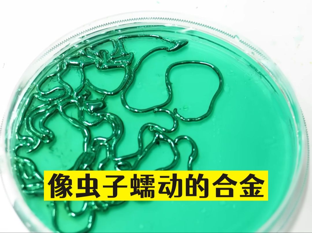 像虫子一样蠕动的液态金属，还会走迷宫