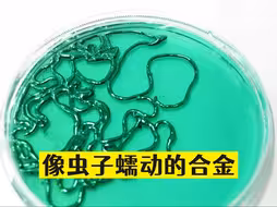 像虫子一样蠕动的液态金属，还会走迷宫