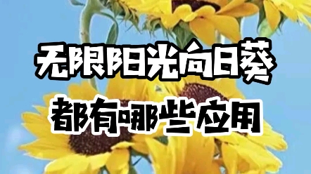 无限阳光向日葵的应用有哪些?哔哩哔哩bilibili