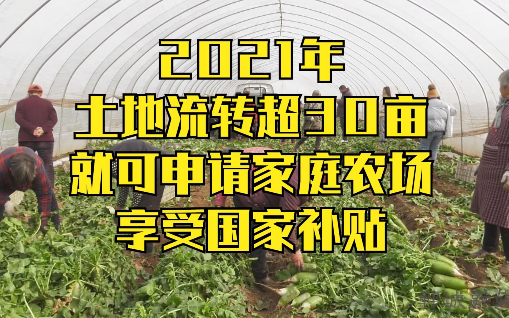 2021年家庭农场申领农业补贴,只需要土地流转超30亩、合同超五年哔哩哔哩bilibili