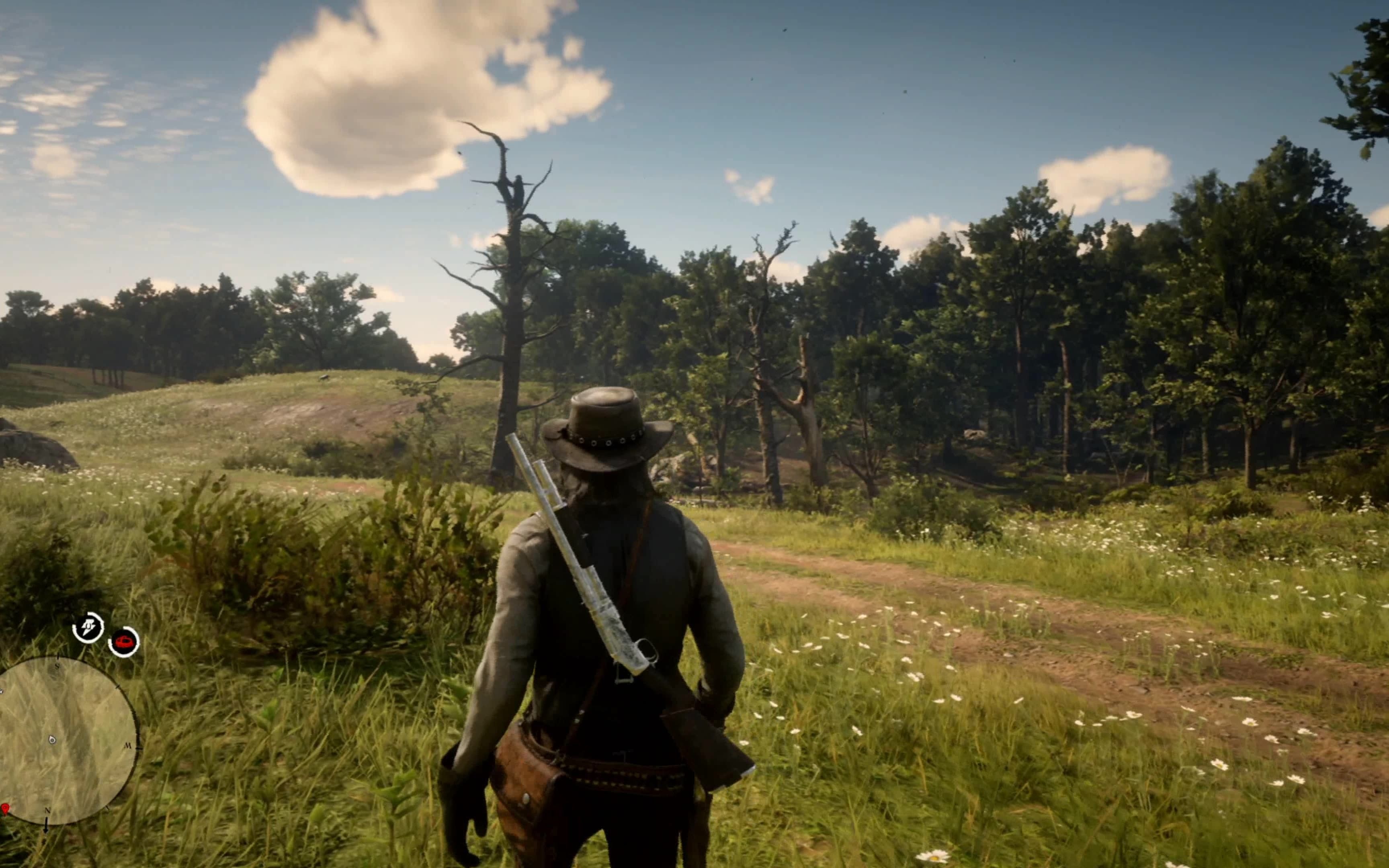 【吼哥】4k变态画质—荒野大镖客2 (ps4 pro)