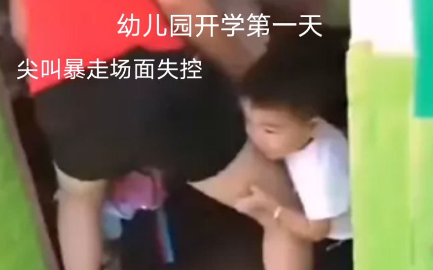 幼儿园开学第一天,大哭抱腿场面失控…哔哩哔哩bilibili