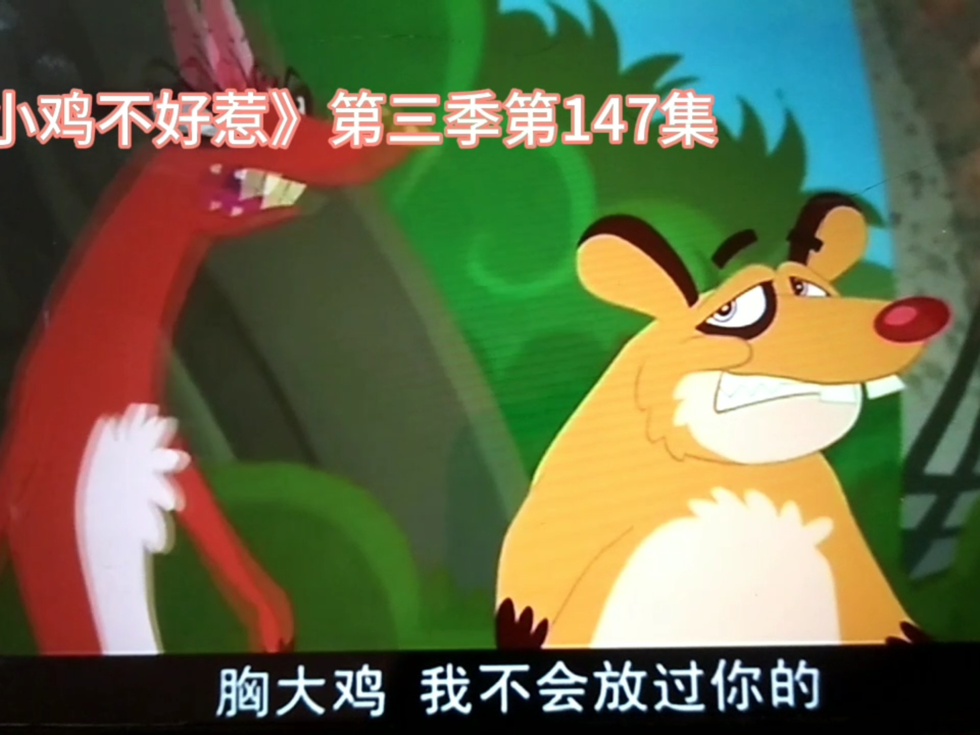 《小鸡不好惹》第三季里面瘦高高有光头强抢走台词第二期