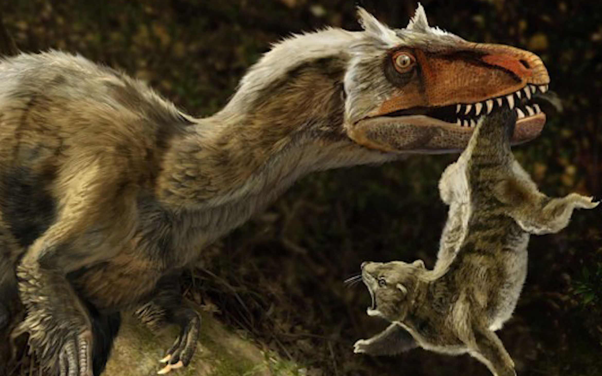 霸王龙长羽毛吗那些长有羽毛的暴龙类成员