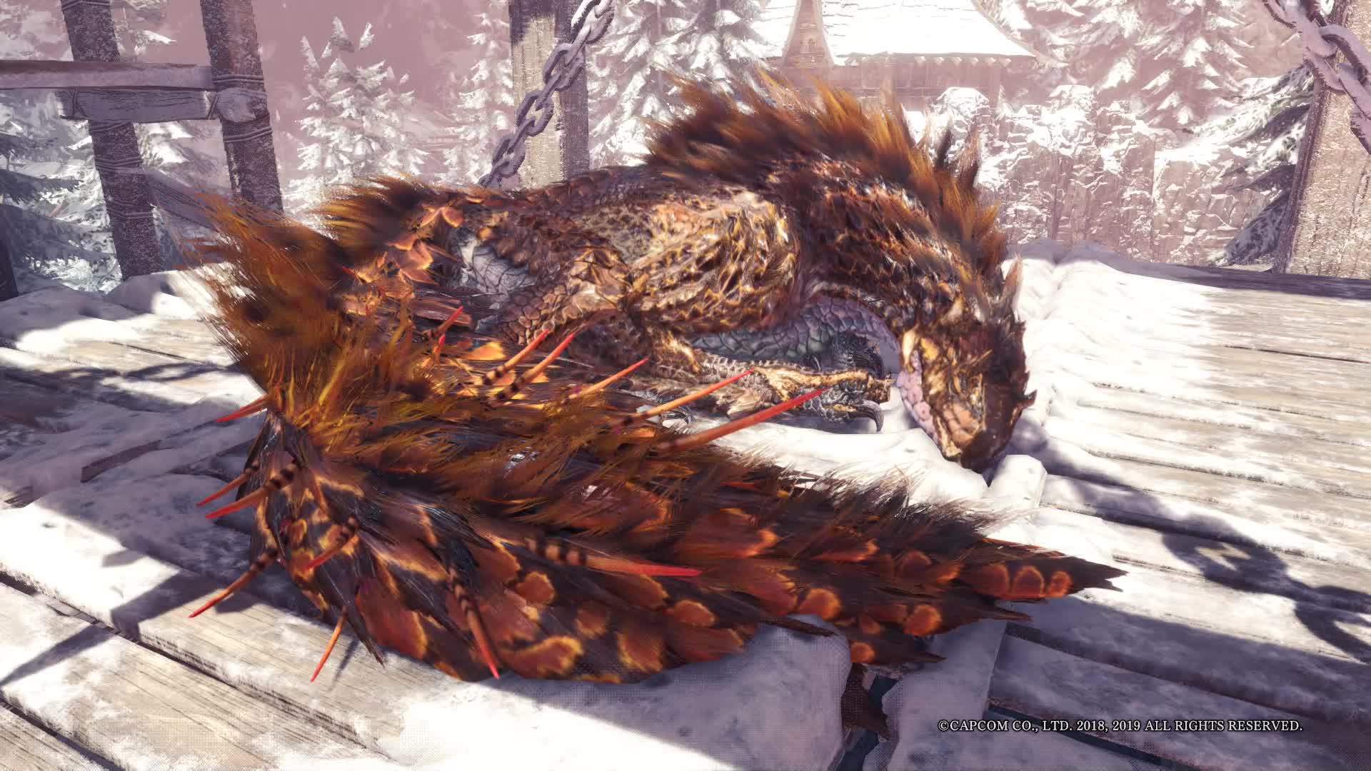 【一起看龙睡觉吧】痹毒龙睡觉