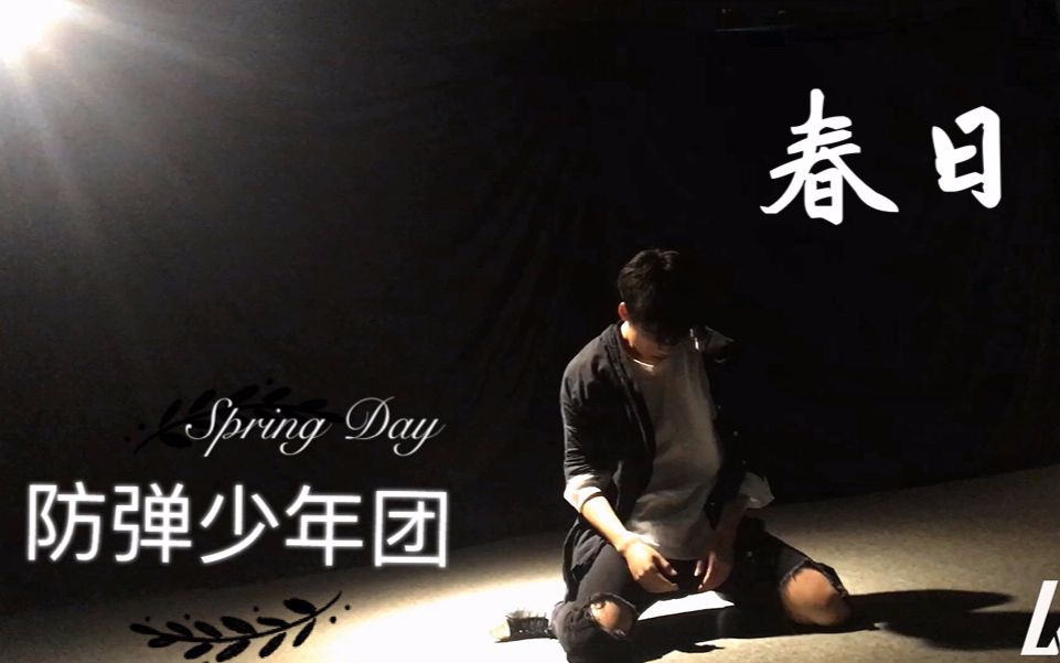 【刘潇雄_wino/小熊】防弹少年团-春日(spring day