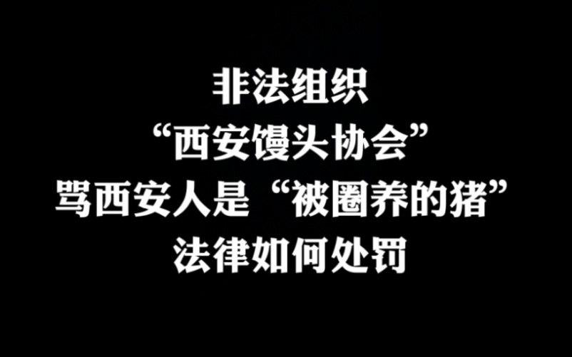 “西安馒头协会”群有人骂西安人是猪,法律如何处罚?哔哩哔哩bilibili