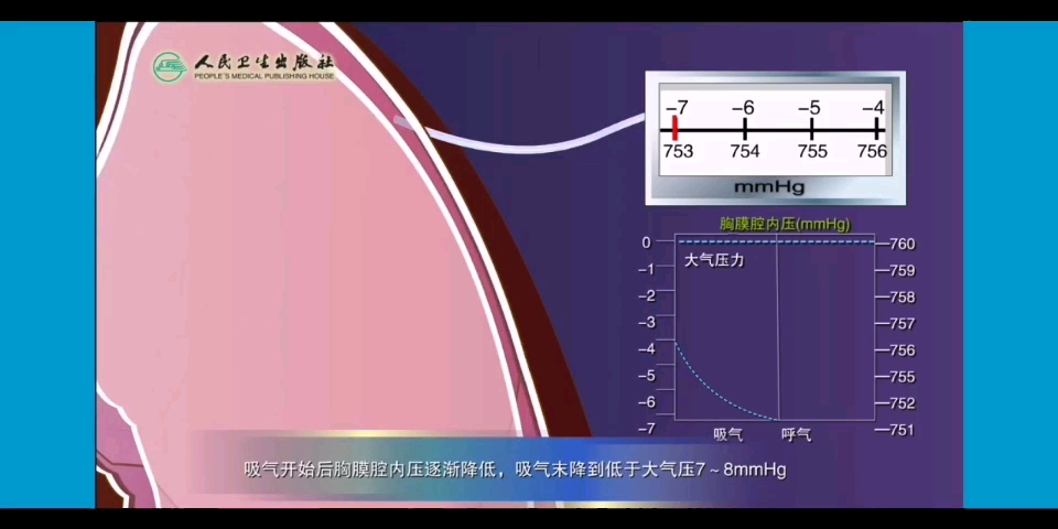 【生理学】胸膜腔内压哔哩哔哩bilibili