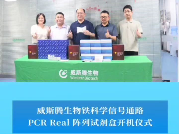 威斯腾生物铁科学信号通路 PCR Real 阵列试剂盒开机仪式哔哩哔哩bilibili