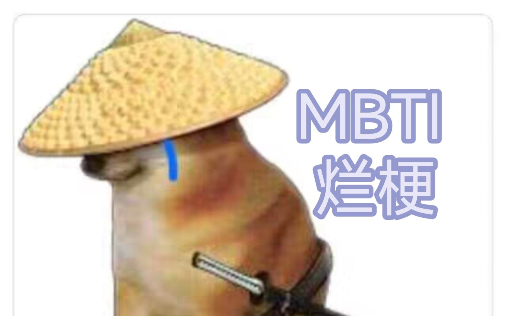 【MBTI】表情包128张哔哩哔哩bilibili