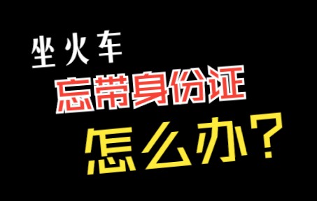 坐火车没带身份证?手把手教你办理电子临时身份证明哔哩哔哩bilibili