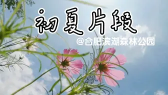 初夏片段