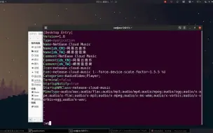 Download Video: ubuntu(linux)安装网易云音乐